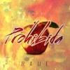 Raúl - Prohibida