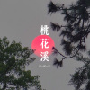 DJ胖虎 - 桃花溪 (Remix)
