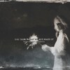 Mary Chapin Carpenter - Something Tamed Something Wild