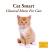 St. Martin's Orchestra - Vivaldi: Spring' from 'The Four Seasons - Violin Concerto in E Major