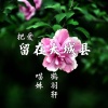 慕遥.、鹤羽轩 - 把爱留在大城县