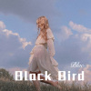小姐姐 - Black Bird (Remix)
