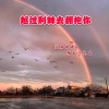 精彩丁先森、闷涛 - 最毒妇人心