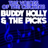 Buddy Holly、The Picks - True Love Ways