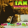 Ian Whitcomb - You Turn Me On