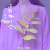越得儿 - 淡紫色的回忆
