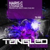 haris c《Stigmata (Original Mix)》[MP3/LRC]