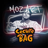 The Flys - Secure the Bag (Explicit)
