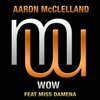 Aaron McClelland、Miss Damena - Wow (Original Mix)