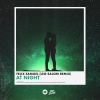 Leo Salom、Felix Samuel - At Night (Leo Salom Remix)