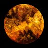 The Venusian - Acid Drops