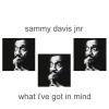 Sammy Davis, Jr.《What I've Got In Mind》[MP3/LRC]