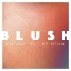 Elekfantz、Vintage Culture《Blush (Vintage Culture Remix)》[MP3/LRC]