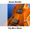 Aaron Neville - Baby I'm A Want You