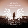 Cj S.a.y. - Unknown Musician (Original Mix)