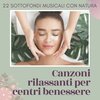 Ludovico Allevia - Centri benessere