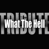 the a-team - What The Hell