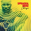 spragga benz、Pierre Duplan、Rebel ACA、Ross Cornfield、Carlton Grant、Andrew Oury - Move to the Music (feat. Rebel ACA)(Explicit)