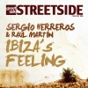 Raul Martin、Sergio Herreros - Ibiza's Feeling (Willy Sanjuan Molacacho Acid mix)