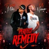 peter miles、Mc Norman - Perfect Remedy