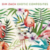 Dim Zach - Uncertain Future