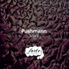 Pushmann - Anso (Original Mix)