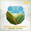 Sasho Derama、Emvade - Going Down (Original Mix)