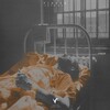 Fixeer - IPA (Original Mix)
