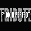 the a-team - F**kin' Perfect (Pink Tribute)