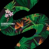 Damien N-Drix - Mamake