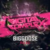 Biggoose - Palec (Original Mix)