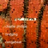 Charlie Phillips - Bridging
