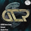 Aleandro Ferrer - Just Bealive (Original Mix)