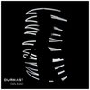 Durmast - Shalimar