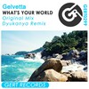 Gelvetta - What's Your World (Original Mix)