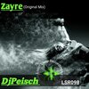 DJ Peisch - Zayre (Original Mix)
