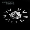 Dmitry Bereza - Introduce