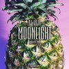 DJ VoJo - Moonlight (Original Mix)