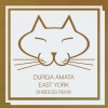 Durga Amata - East York (Shisdess Radio Cut)