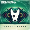 Adam Taylor - Break You Open (RadioEdit)