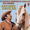 Antonio Aguilar《Caballo Prieto Azabache》[MP3/LRC]