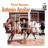 Antonio Aguilar《Albur De Amor》[MP3/LRC]