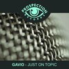 Gavio - Just On Topic (Original Mix)