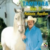 Antonio Aguilar《Que Milagro Chaparrita》[MP3/LRC]