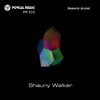 Shauny Walker - Numeric Accent (Original Mix)