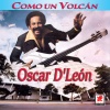 oscar d'león《Como Un Volcán》[MP3/LRC]