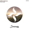 Bruno Motta - Silk Notes (Original Mix)