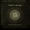 Trinity & Beyond、Trinity (AU)《Those Storms Above (Original Mix)》[MP3/LRC]