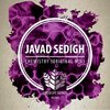 Javad Sedigh - Chemistry (Original Mix)