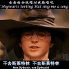 紫阡 - the sorting hat song